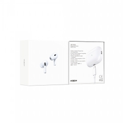 Spatial Audio TWS Wireless Earbuds