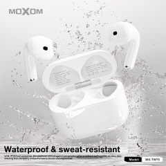 TWS Wireless Earbuds