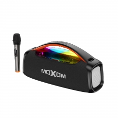 Carnival Portable Outdoor Karaoke Speaker