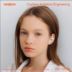 Hi-Fi Stereo TWS Wireless Earbuds