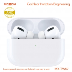 ANC TWS Wireless Earbuds