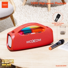 Carnival Portable Outdoor Karaoke Speaker