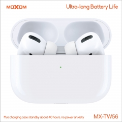 Hi-Fi Stereo TWS Wireless Earbuds