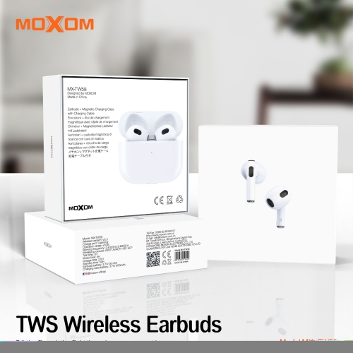 Hi-Fi Stereo TWS Wireless Earbuds