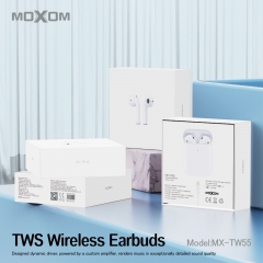Hi-Fi Stereo TWS Wireless Earbuds