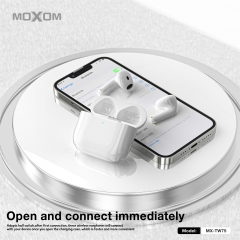 TWS Wireless Earbuds