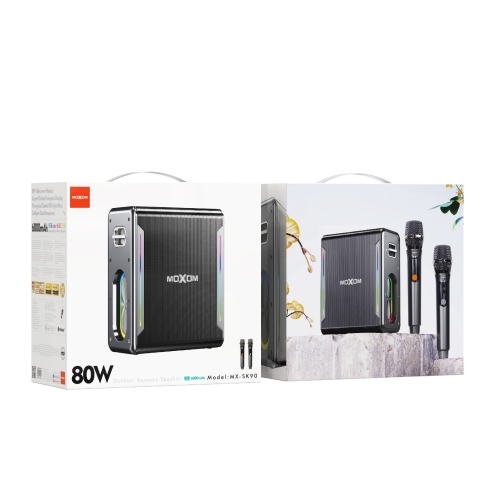 80W Soul Leader Outdoor Karaoke Speaker