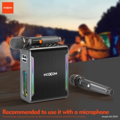 80W Soul Leader Outdoor Karaoke Speaker