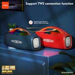 Carnival Portable Outdoor Karaoke Speaker