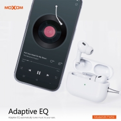 Spatial Audio TWS Wireless Earbuds