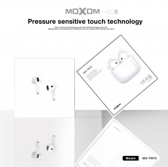 TWS Wireless Earbuds