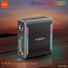 80W Soul Leader Outdoor Karaoke Speaker