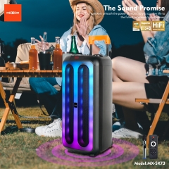 3D Surround RGB TWS Wireless Speaker