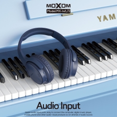 Multi-functional Wireless Headphone