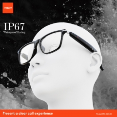 Erudite Wireless Smart Glasses