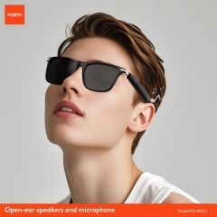 Erudite Wireless Smart Glasses