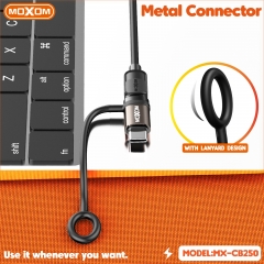 Lightning to Type-C Cable Adapter