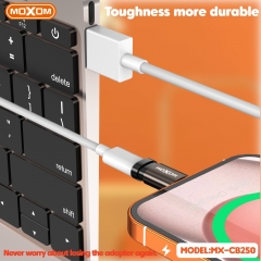 Lightning to Type-C Cable Adapter