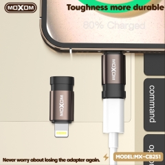 Type-C to Lightning Cable Adapter