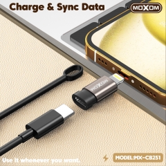 Type-C to Lightning Cable Adapter