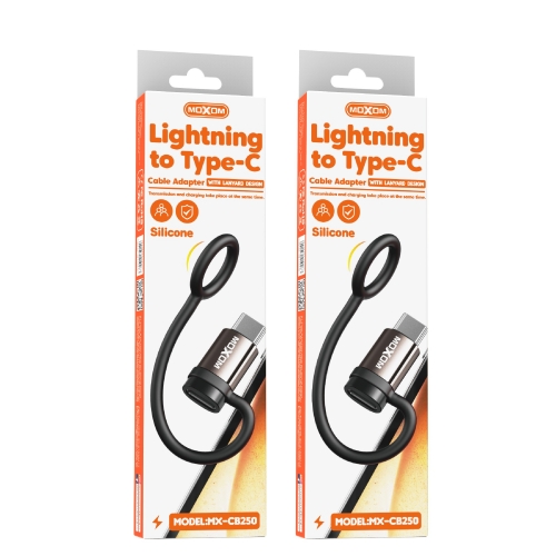 Lightning to Type-C Cable Adapter