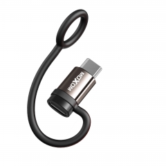 Lightning to Type-C Cable Adapter