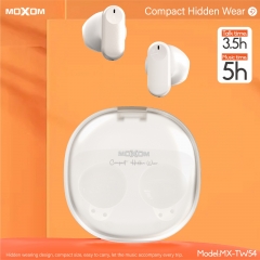 Matte Transparent TWS Wireless Earbuds
