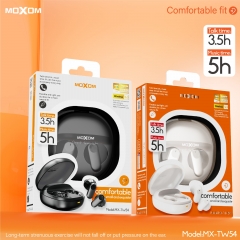 Matte Transparent TWS Wireless Earbuds