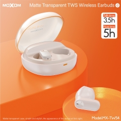 Matte Transparent TWS Wireless Earbuds