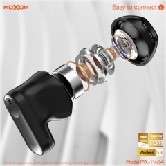 Matte Transparent TWS Wireless Earbuds