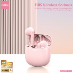 Mini Minimalist TWS Wireless Earbuds