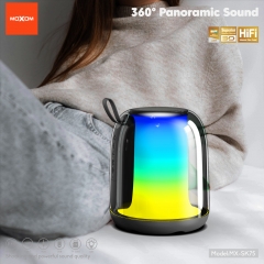 Giant RGB Wireless Speaker