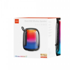 Giant RGB Wireless Speaker