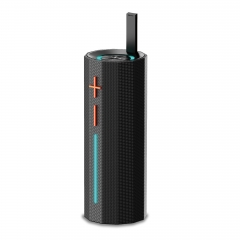 Forest Echo Portable Wireless Speaker