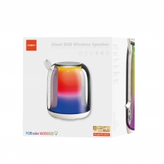 Giant RGB Wireless Speaker
