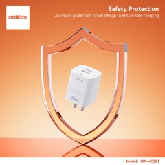2.4A Dual - USB port travel charger