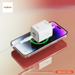 PD25W QC18W Trend Fast Charger