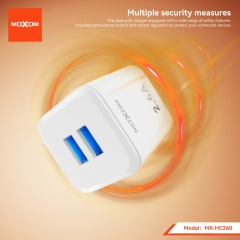 2.4A Dual - USB port travel charger
