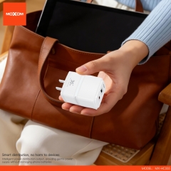 PD35W, QC18W Dual-Port Output Fast Charger (US Plug)