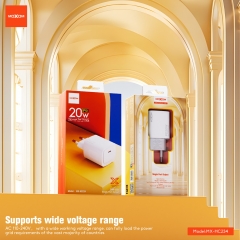 PD20W Blitz Fast Charger