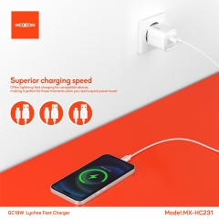 QC18W Lychee Fast Charger