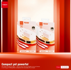 PD20W Blitz Fast Charger