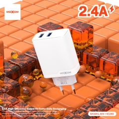 2.4A Dual USB EU Travel Charger