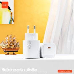 PD20W Blitz Fast Charger