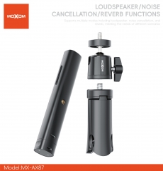 Dual-user multifunctional microphone with one-to-two connection