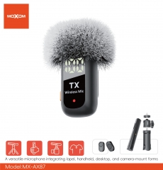 Dual-user multifunctional microphone with one-to-two connection