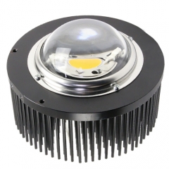 RX612-163-A4 Forging Heatsink for COB grow lights 163[6.42]x70[2.755] 100-115 Watts