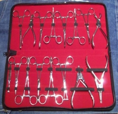 Professional Piercing Kits