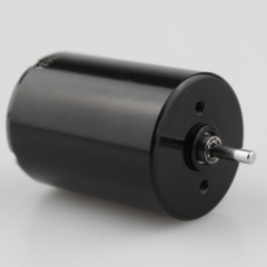 Swiss Motor Quality Coreless DC Tatoo 22 Motor Parts