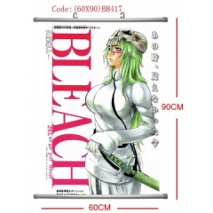 Bleach Anime Wallscrolls (60*90CM)
